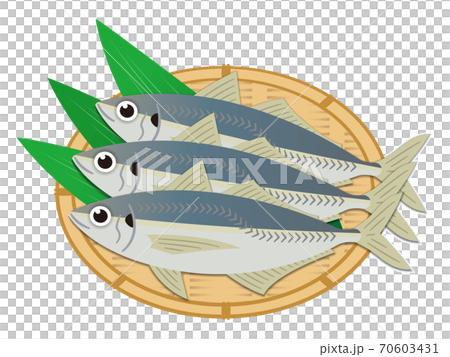 アジのイラストレーション アジのイラストレーション 70603431