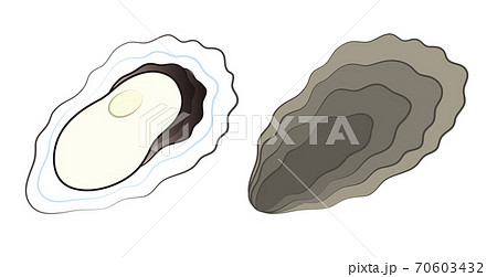 牡蠣 むき身と貝殻のセット イラスト ベクターのイラスト素材