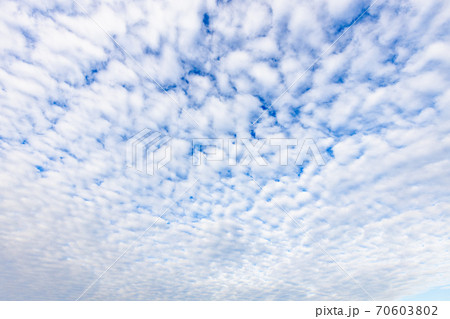 羊雲／ひつじ雲／高積雲の写真素材 [70603802] - PIXTA