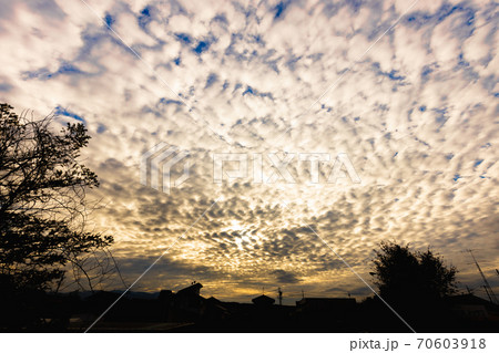 夕焼けと羊雲／ひつじ雲／高積雲の写真素材 [70603918] - PIXTA