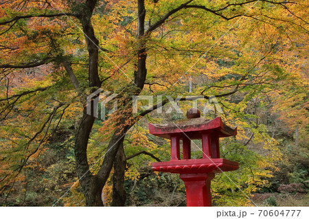 鳥居観音の紅葉の写真素材