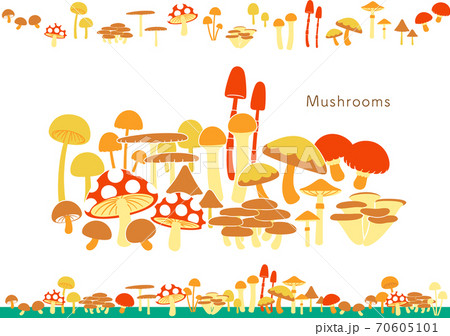 きのこ　Mushrooms 70605101