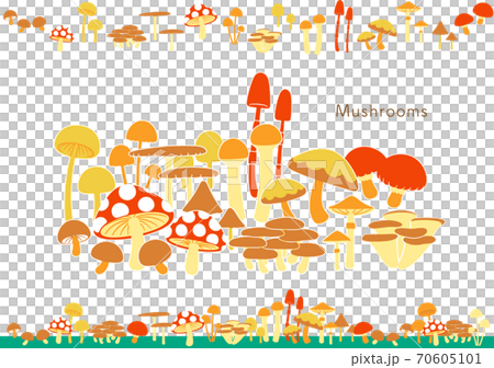 きのこ　Mushrooms 70605101