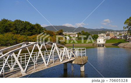 ニテコ池と甲山/兵庫県西宮市 ニテコ池と甲山/兵庫県西宮市 70605328