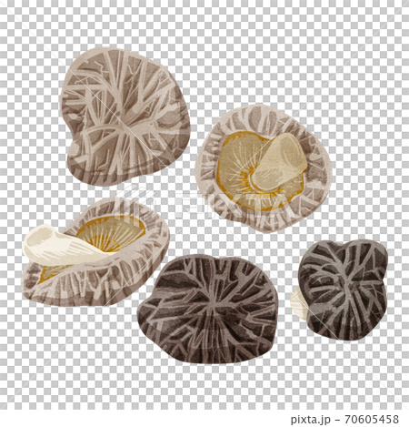 干し椎茸の水彩風イラスト 70605458