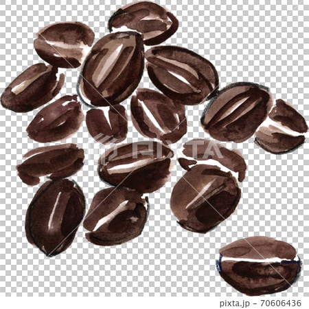 Coffee beans  70606436
