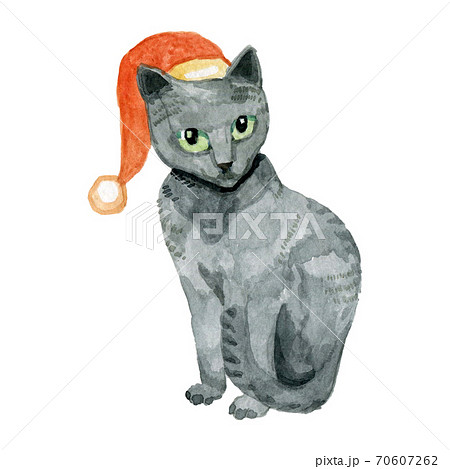 Cute grey cat in Christmas cap 70607262