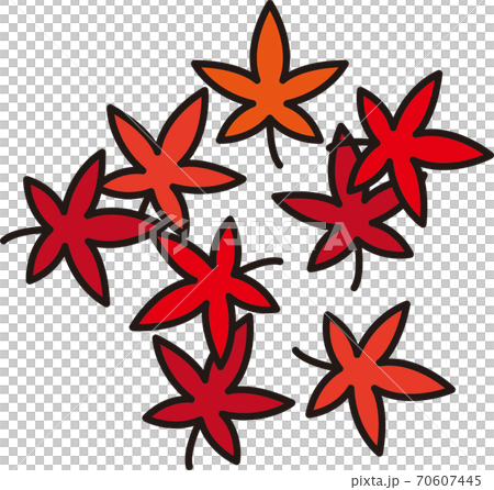 Autumn leaves 70607445