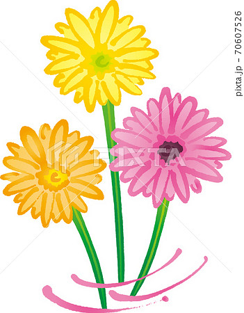 ガーベラのイラスト素材