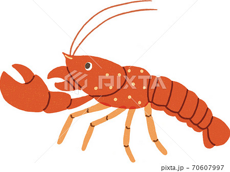 ザリガニのイラスト素材