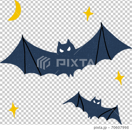 Bat 70607998