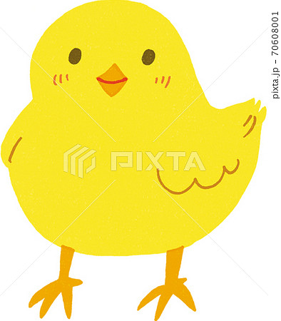 ひよこ ひよこ 70608001