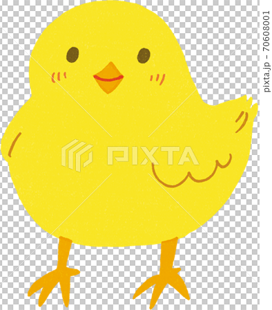 ひよこのイラスト素材 [70608001] - PIXTA