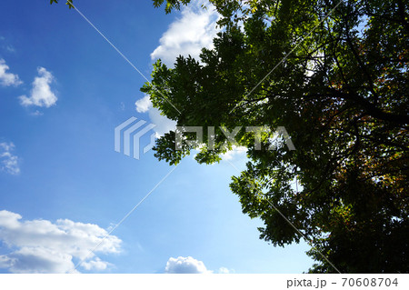 雲 空 秋 70608704