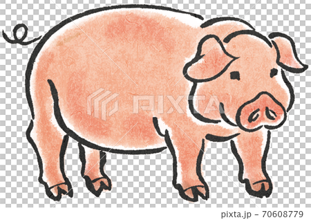 豚 豚 70608779