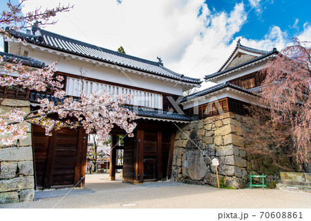 長野県上田市　上田城（東虎口櫓門と桜） 70608861