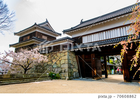 長野県上田市　上田城（東虎口櫓門と桜） 70608862