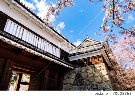 長野県上田市　上田城（東虎口櫓門と桜） 70608863
