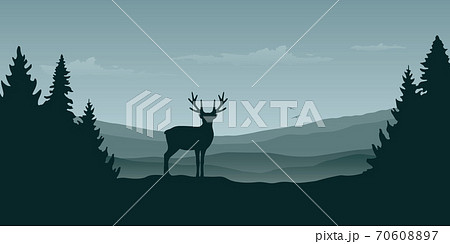 wildlife reindeer mountain view in the fog 70608897