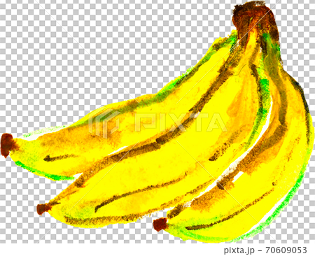 banana 70609053