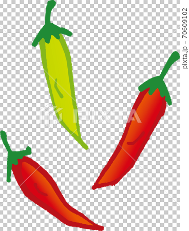 トウガラシのイラスト素材