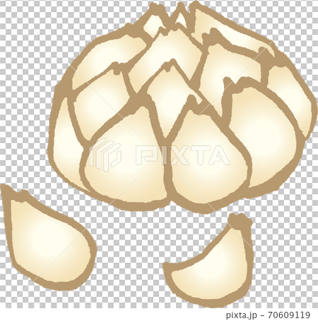 Lily root Lily root 70609119