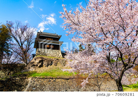 長野県上田市　上田城（ 尼ヶ淵の桜と南櫓門） 70609281