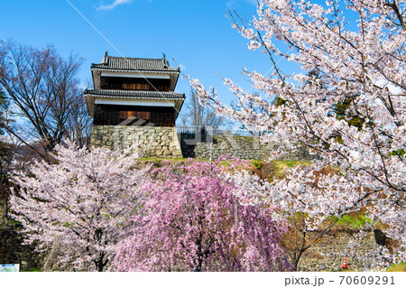 長野県上田市　上田城（ 尼ヶ淵の桜と南櫓門） 70609291