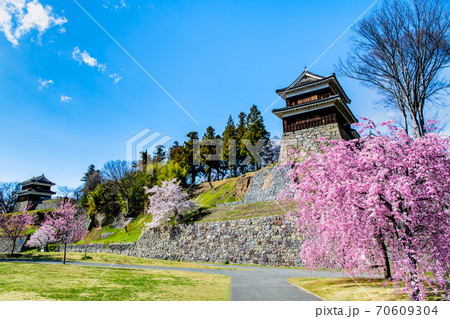 長野県上田市　上田城（ 尼ヶ淵の桜と南櫓門） 70609304