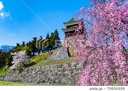 長野県上田市　上田城（ 尼ヶ淵の桜と南櫓門） 70609306