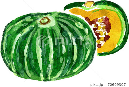 カボチャ 70609307