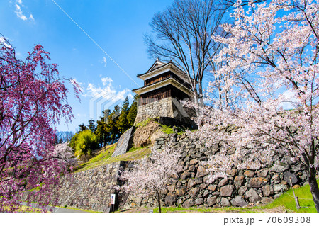 長野県上田市　上田城（ 尼ヶ淵の桜と南櫓門） 70609308