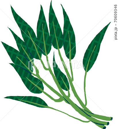 空芯菜 空芯菜 70609346