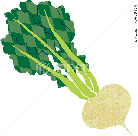 カブ カブ 70609354