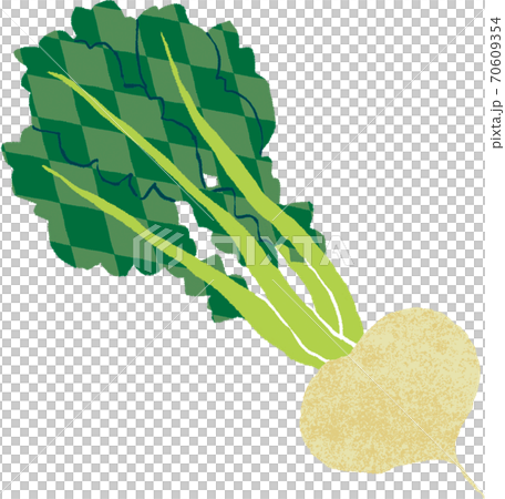 カブ カブ 70609354