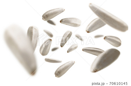 White sunflower seeds levitate on a white background White sunflower seeds levitate on a white background 70610145