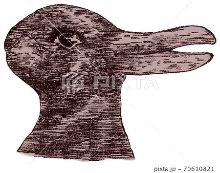 ウサギとアヒル アヒルとウサギ だまし絵 錯視 教材制作のイラスト素材