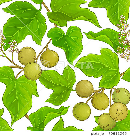 kukui vector pattern 70611246