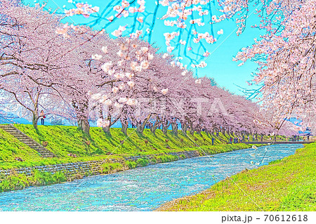 アニメ風] 日本の春 富山県 舟川べり 清流沿いの桜並木のイラスト素材
