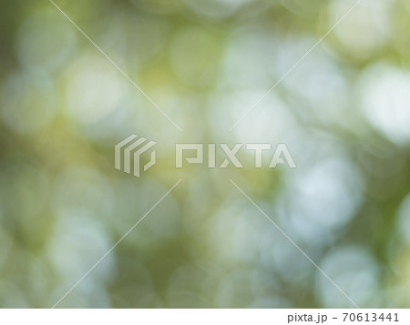 Natural outdoors bokeh background in green and yellow tones, Blurred green tree leaf background with bokeh Natural outdoors bokeh background in green and yellow tones, Blurred green tree leaf background with bokeh 70613441