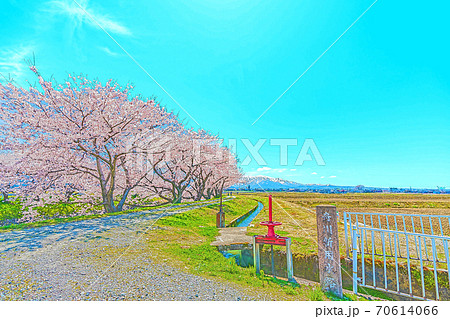 アニメ風 日本の春 富山県 舟川堤防からみた田園風景のイラスト素材