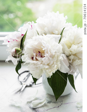 Beautiful pink peony bouquet in a vase. Beautiful pink peony bouquet in a vase. 70614154