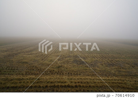 霧 風景 景色 70614910