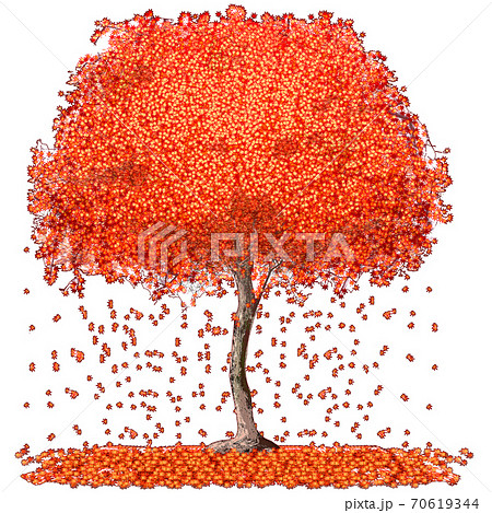 ハラハラと紅葉の葉が舞い散る木のイラストのイラスト素材
