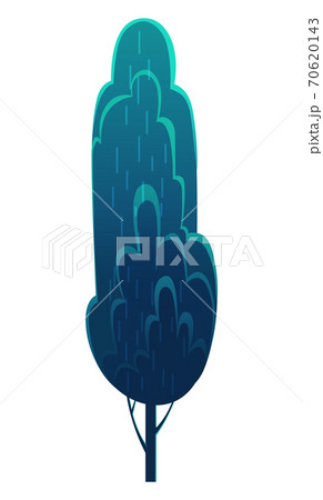 Tall deciduous tree isolated on blue. Forest vegetation, dark blue foliage, lush crown. Flat image 70620143