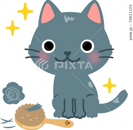 ブラッシングして毛並みがよい猫 ブラッシングして毛並みがよい猫 70621103