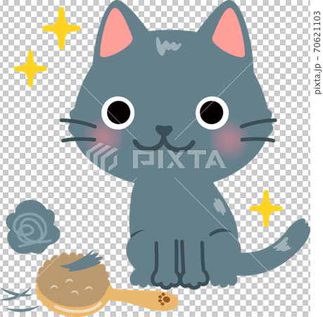 ブラッシングして毛並みがよい猫 ブラッシングして毛並みがよい猫 70621103