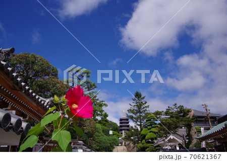 最初の観音霊場 安産祈願の寺 中山寺 最初の観音霊場 安産祈願の寺 中山寺 70621367