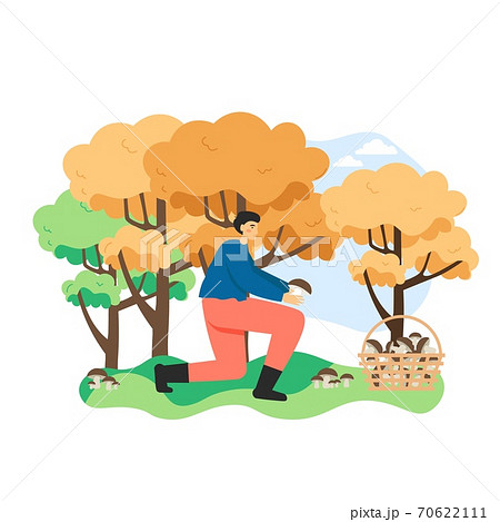 Man picking edible mushroom in autumn forest. Basket full of mushrooms. Outdoor fall season hobby concept vector illustration 70622111