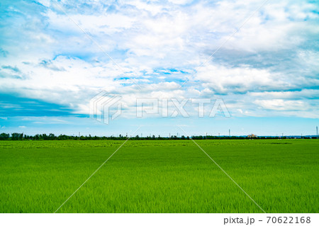 大崎市の田園風景と青空 大崎市の田園風景と青空 70622168